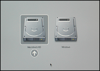 Choose an OS at boot time: Windows XP or Mac OS X