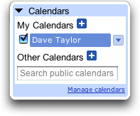 Google Calendar: Nav View