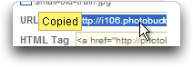 Photobucket: URL Copied
