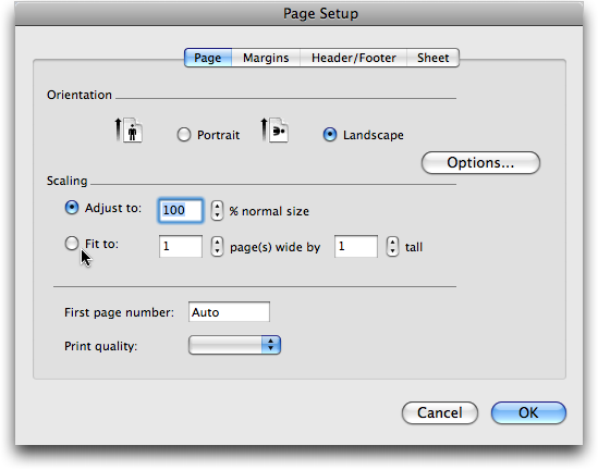 Microsoft Excel: Print: Page Setup