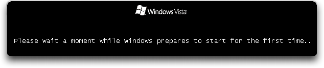 VMWare Fusion: Installing Microsoft Vista #2