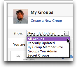 facebook my groups show