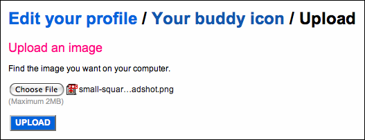 flickr profile buddy icon upload on your computer selected