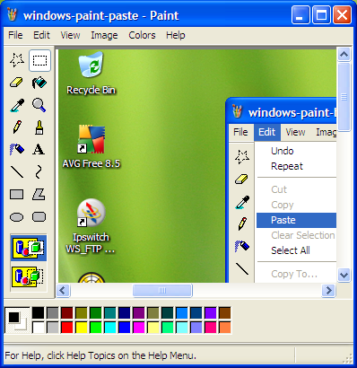 How can you crop a photo in the Windows Basic Paint program?