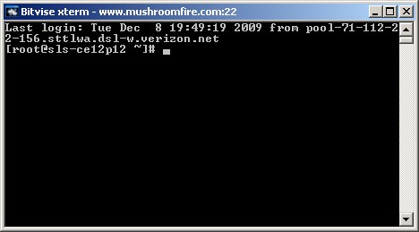 linux disk space ssh prompt