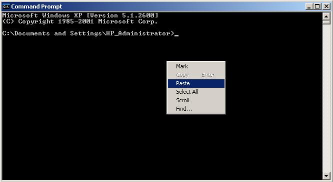 paste in command prompt