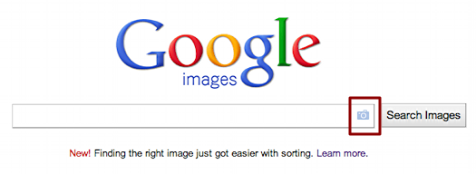 google image search 1