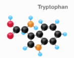 turkey tryptophan chemistry chemical