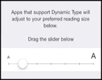 change size of text on iphone ipad ios7