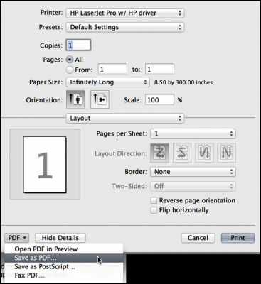 printer dialog with long paper configuration setting chosen