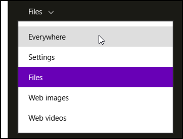search category options in win8.1 windows 8.1 search charm