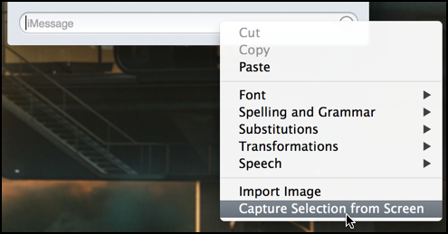 capture screen area within messages mac os x