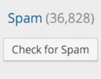 wordpress word press blog spam comments spammers