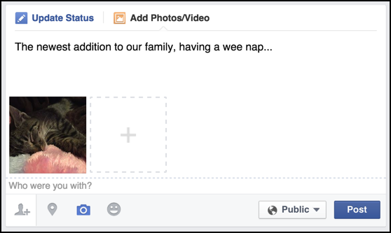 facebook status update ready to post with photo photograph