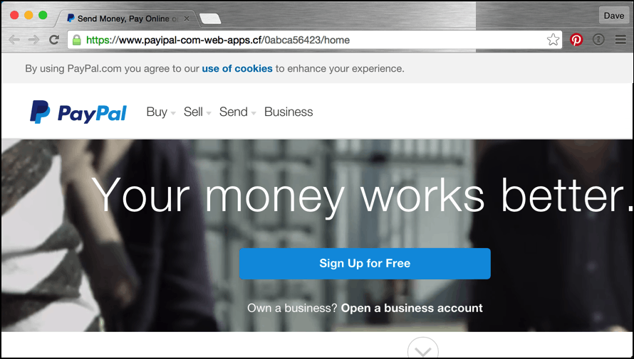 fake paypal home page