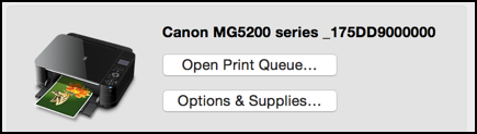 canon printer, no scanner button