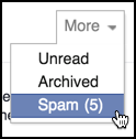 how to get to the facebook spam messages folder