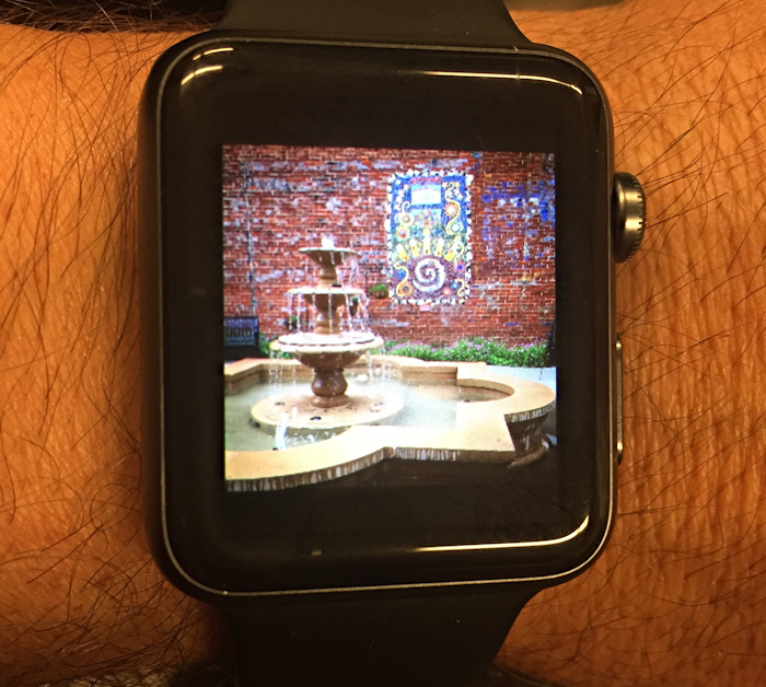 Apple watch showing photo from instagram