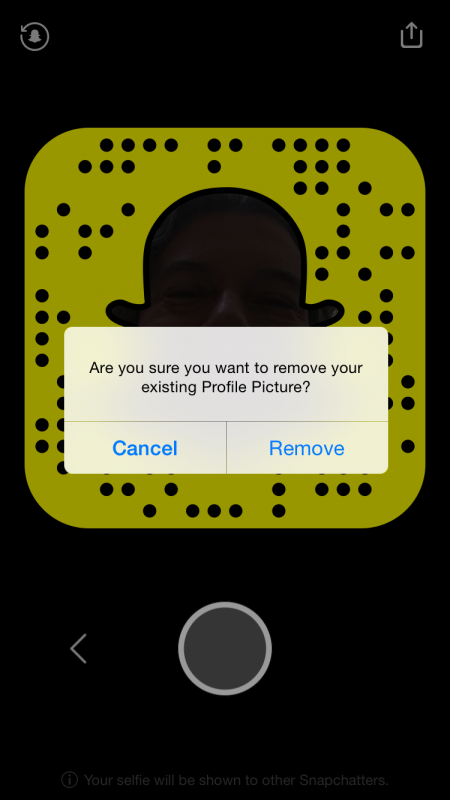are you sure you want to delete your snapchat profile picture photo?