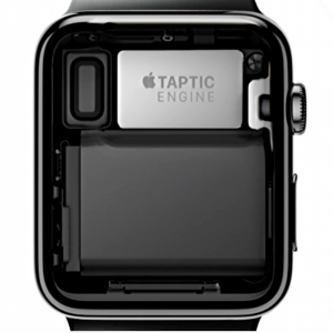 taptic engine displayed, back of apple watch