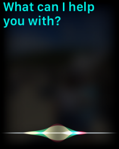 Siri display what can i help you with?  prompt apple watch