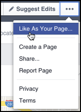 facebook more options when looking at a fan business company page