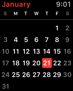 month at a glance, ical calendar view, apple watch os 2