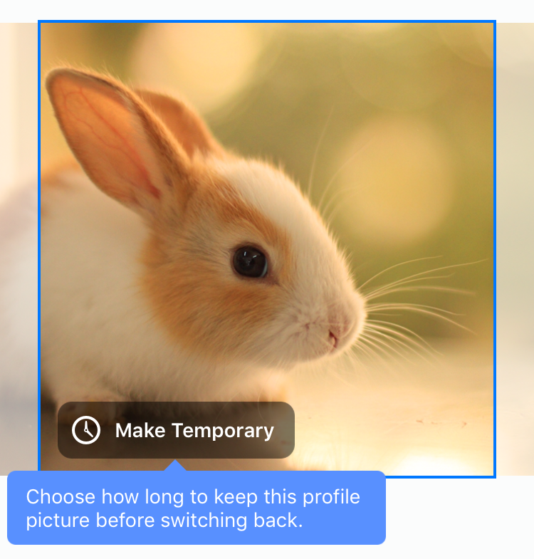 new baby bunny rabbit facebook profile photo