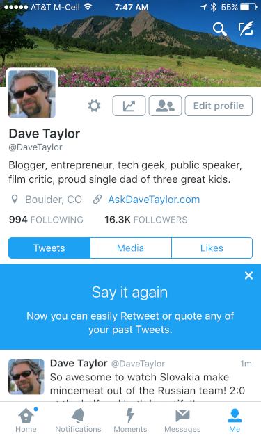 ipad iphone twitter app user profile settings