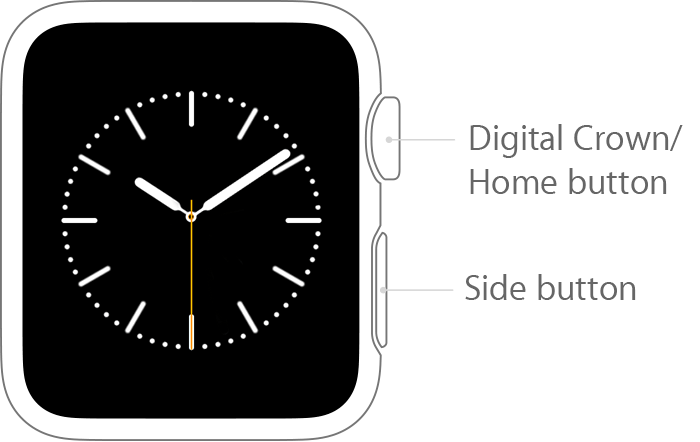 apple watch labelled buttons