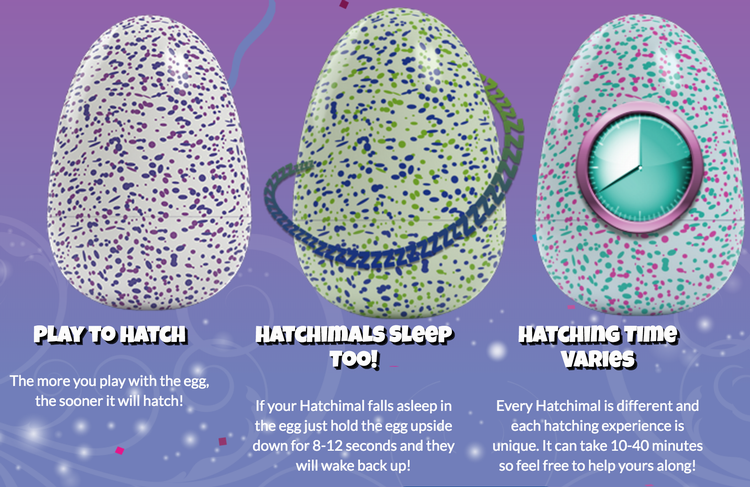 hatchimals info