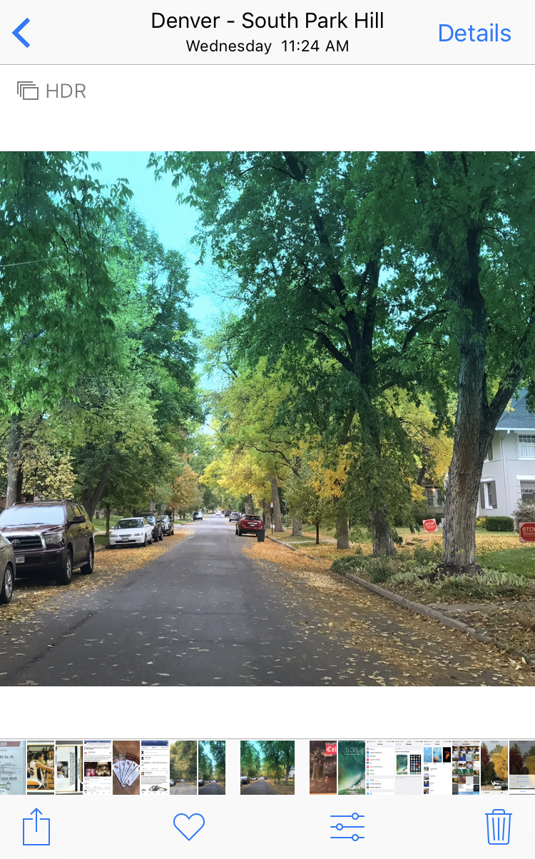 tree lined street, autumn, camera roll photo gallery apple iphone 7