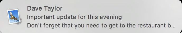 standard apple mail notification window