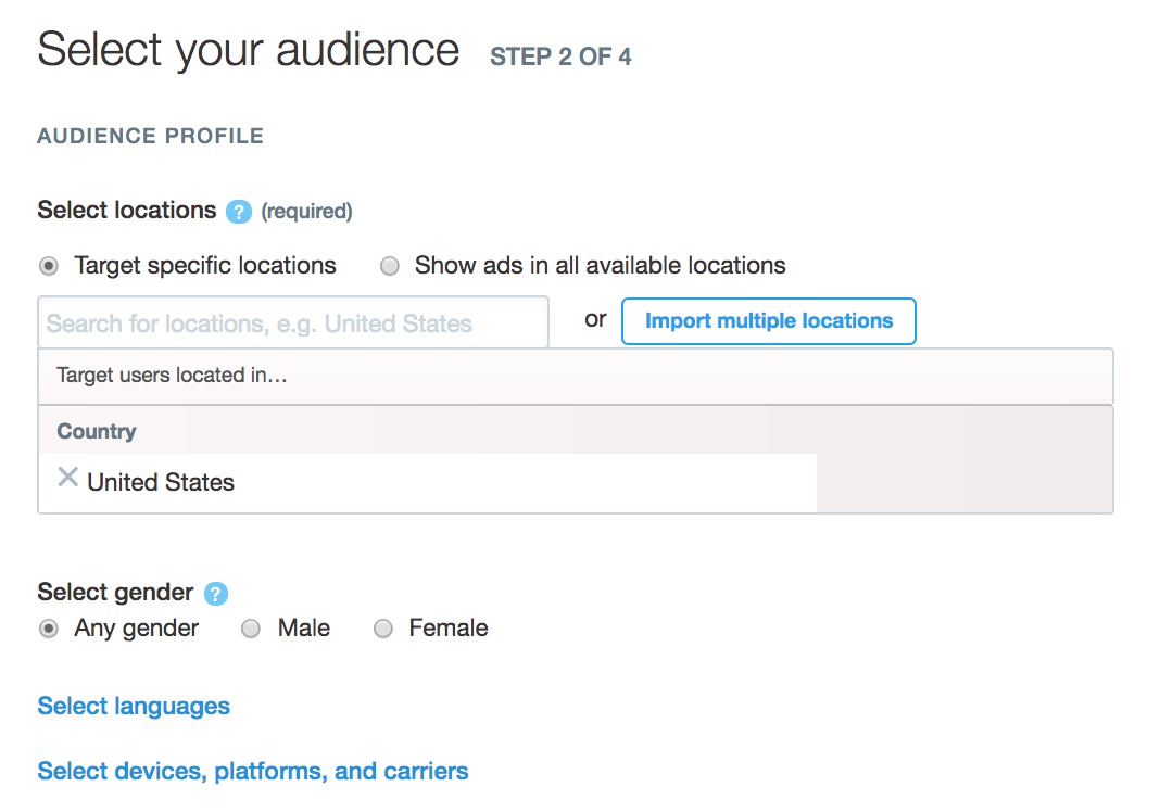 specify your twitter ad audience