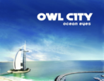 how to add lyrics song track itunes mac owl city