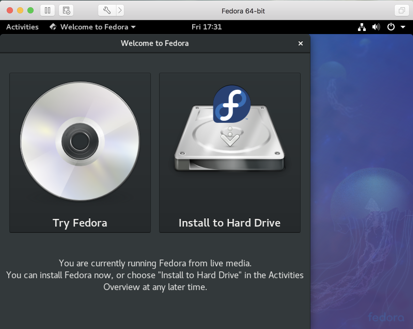 fedora installation vm