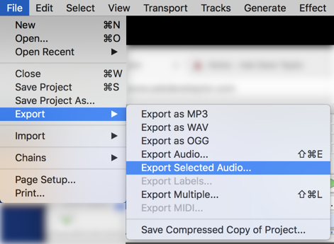 audacity file > save selection audio file