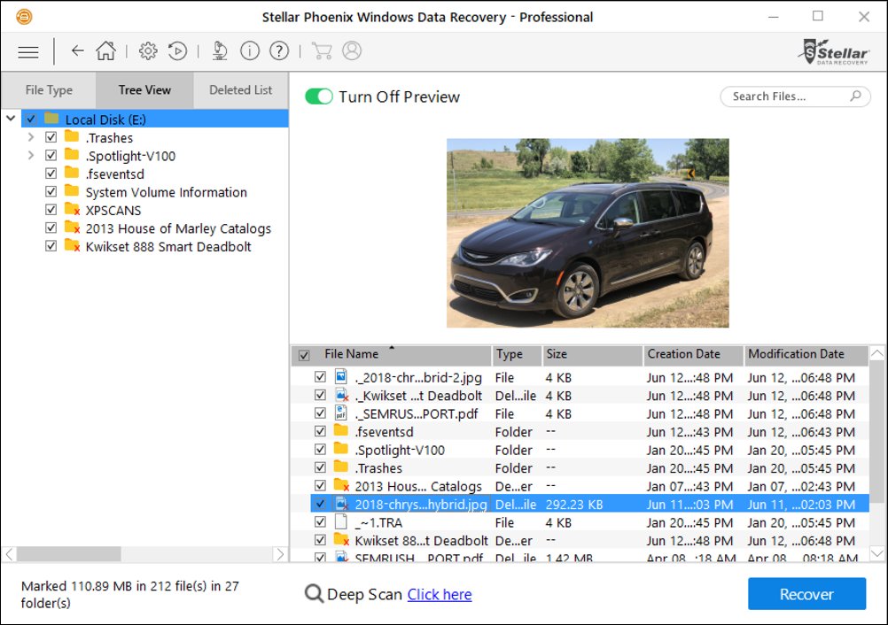 stellar phoenix windows data recovery preview of recovered jpg image