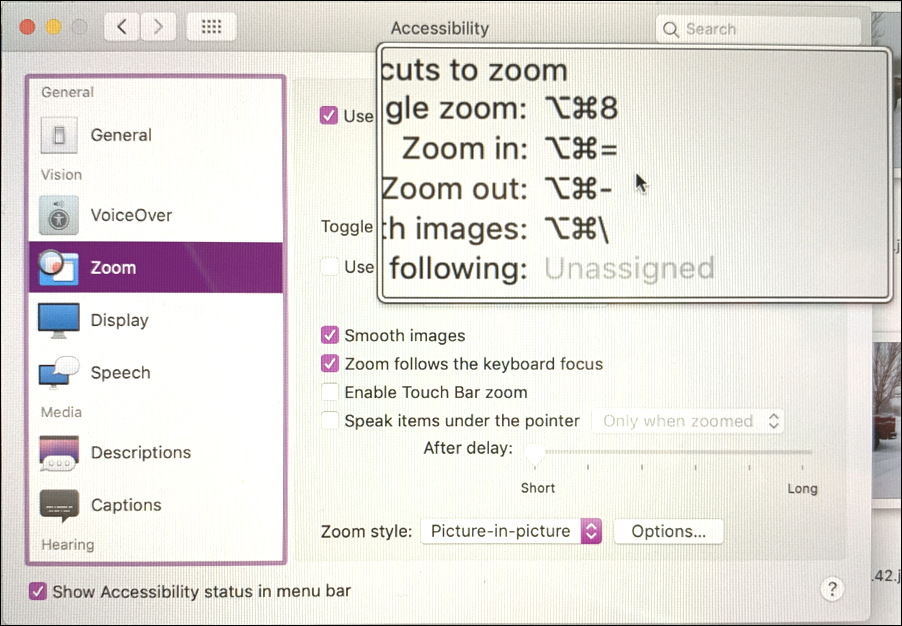 mac accessibility - zoom rectangle lens - demo