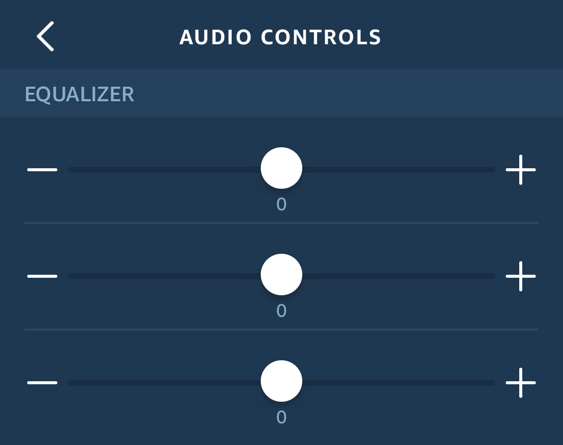 amazon echo dot - alexa - audio controls eq