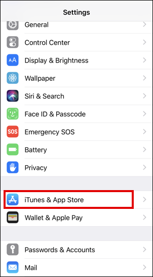 ios iphone settings - iTunes & App Store