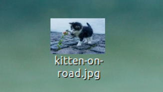 kitten on road jpeg linux desktop