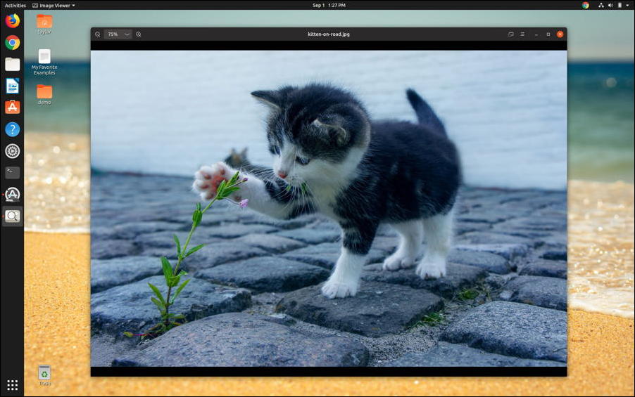 linux - image viewer - ubuntu kitten