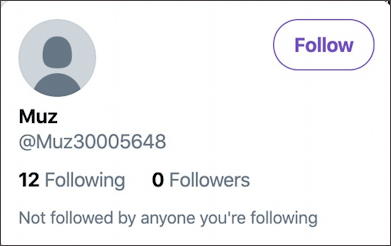 bogus twitter account example