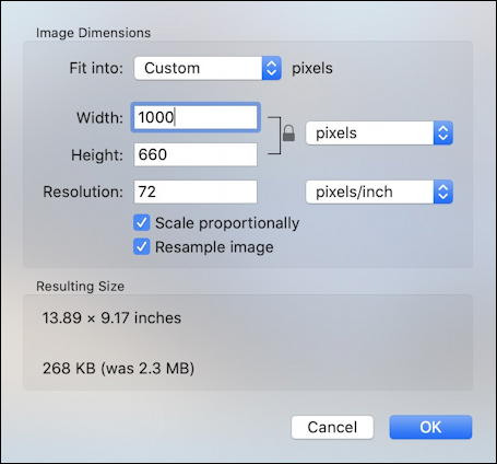 mac preview app - resize photo picture for online use