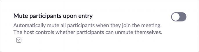 zoom avoid zoombombing - mute participants on entry