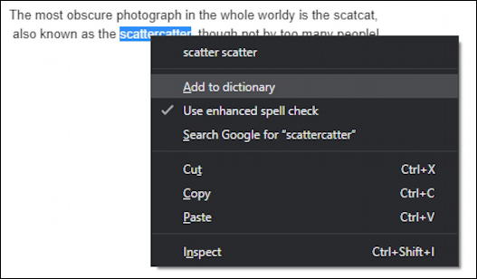 google chrome for windows - add misspelled word to dictionary