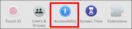 mac macos x - make cursor larger bigger - accessibility settings preferences