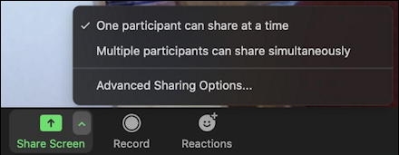 zoom share screen options in app mac