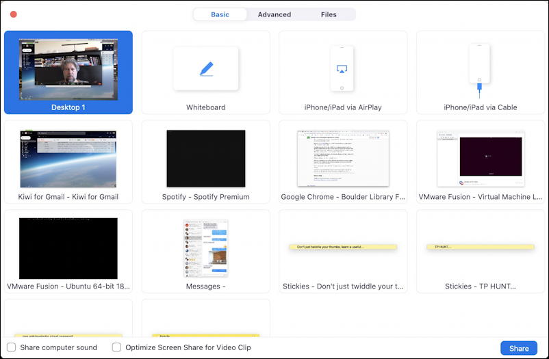 zoom call session - share screen main view - window - mac